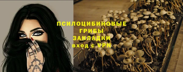 эйфоретик Зеленокумск