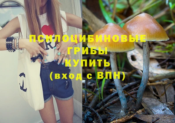 MDMA Premium VHQ Зерноград