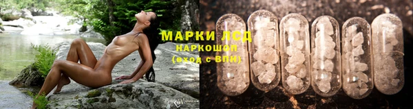 эйфоретик Зеленокумск